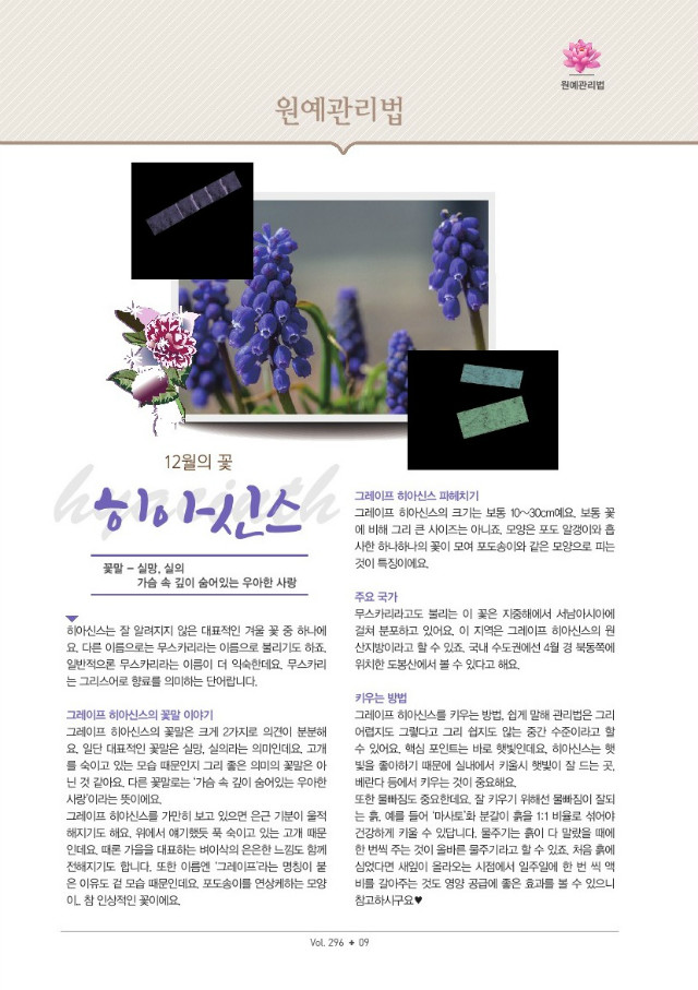 09.jpg